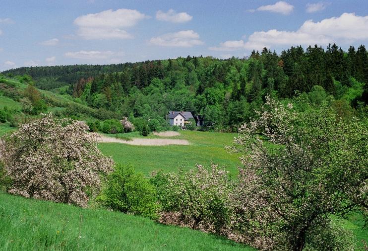 Petrovicky Mlyn Hotel Kasanice Buitenkant foto
